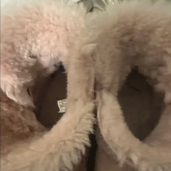 UGG Blush Shearling-Lined Winter Boots - Picture 3 of 8